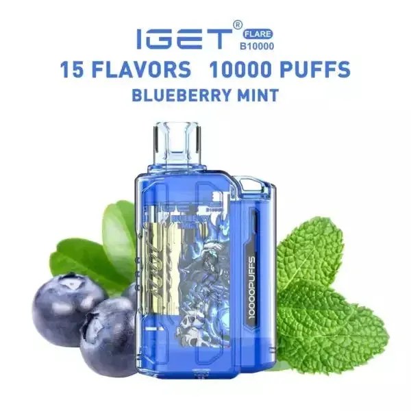 Iget Flare B10000 – Blueberry Mint - Buy Authentic Vape in Goa - Vape Shop Goa